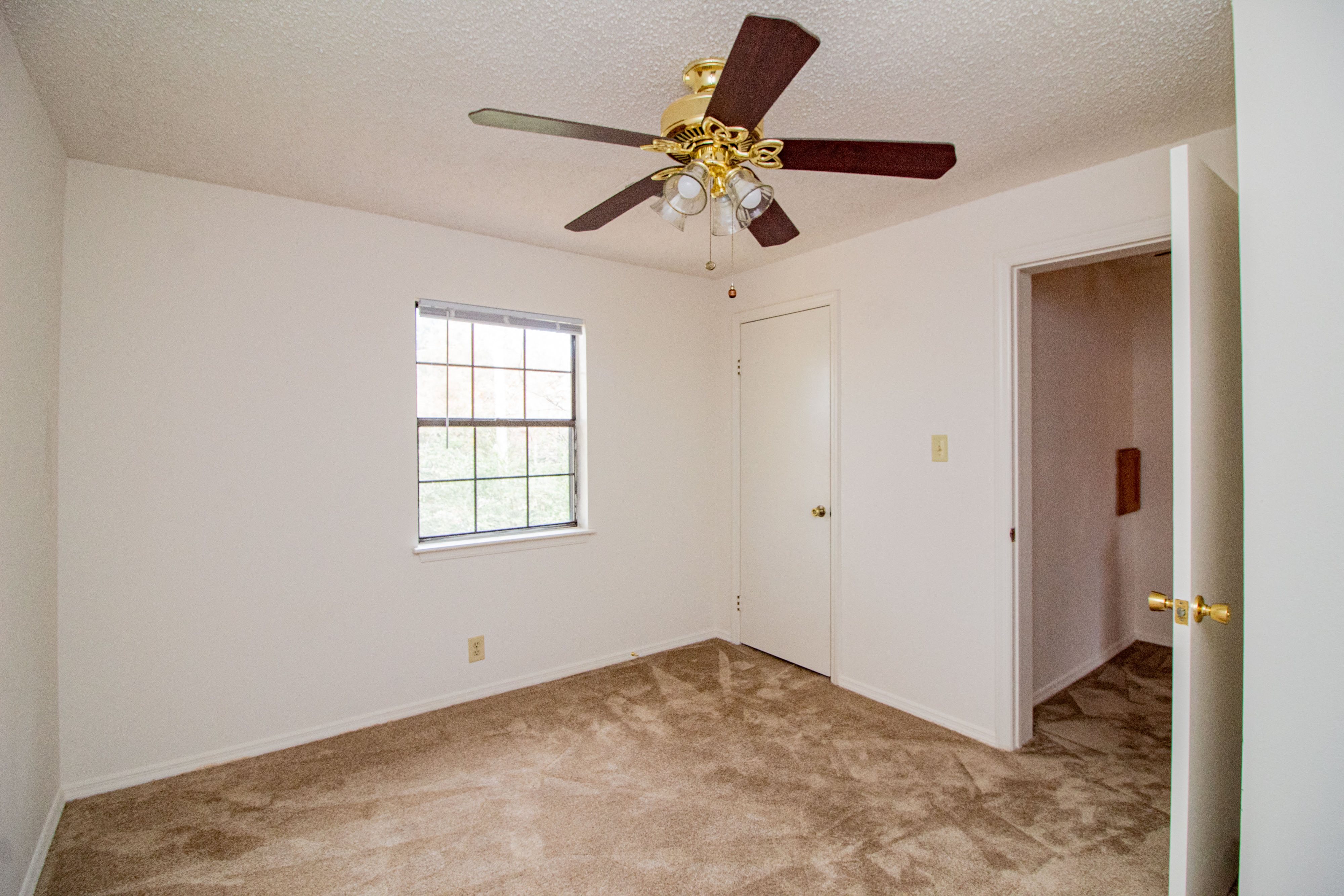 Gallery Photo 5